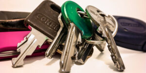 La obligación de entrega de cosa mueble determinada en el procedimiento de ejecución judicial